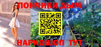 индика Гусиноозёрск
