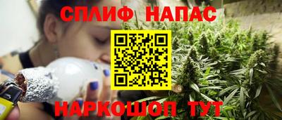 индика Гусиноозёрск