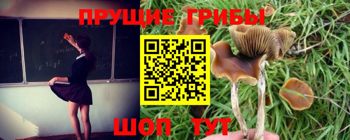 Псилоцибиновые грибы Magic Shrooms  Вход с VPN  Псилоцибиновые грибы мухоморы  где продают наркотики  Нижнекамск 
