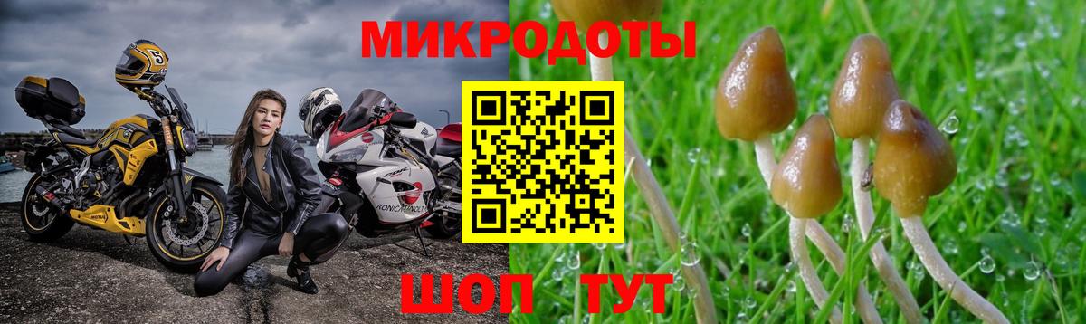 Псилоцибиновые грибы ЛСД Нижнекамск